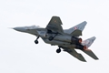 MiG-29, Polish Air Force